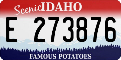 ID license plate E273876