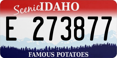 ID license plate E273877