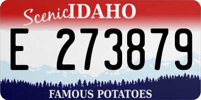 ID license plate E273879