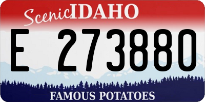 ID license plate E273880