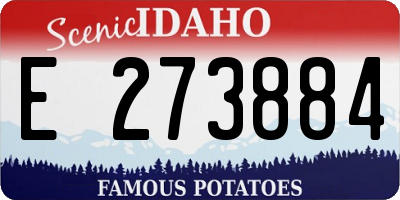 ID license plate E273884