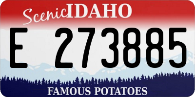 ID license plate E273885