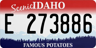 ID license plate E273886