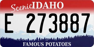 ID license plate E273887