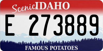 ID license plate E273889