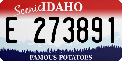 ID license plate E273891