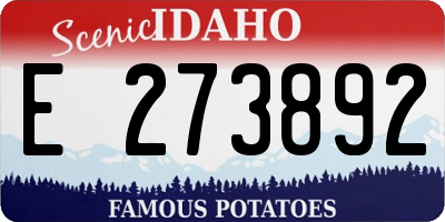 ID license plate E273892