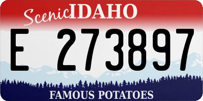 ID license plate E273897