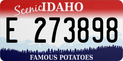 ID license plate E273898