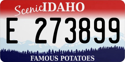 ID license plate E273899