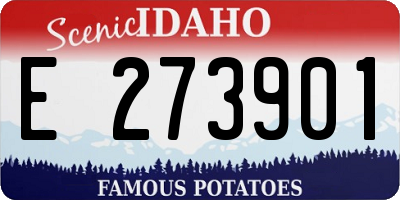 ID license plate E273901