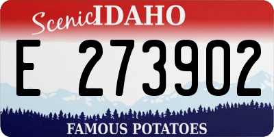 ID license plate E273902