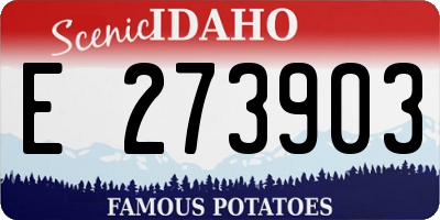ID license plate E273903
