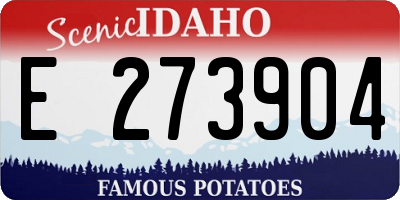 ID license plate E273904