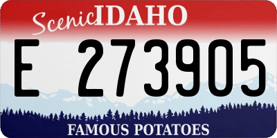 ID license plate E273905
