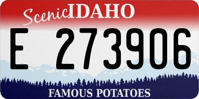 ID license plate E273906