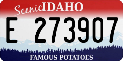 ID license plate E273907