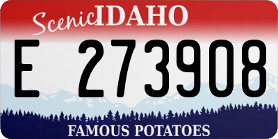 ID license plate E273908