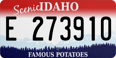 ID license plate E273910