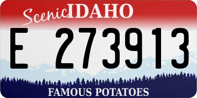 ID license plate E273913