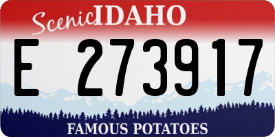 ID license plate E273917