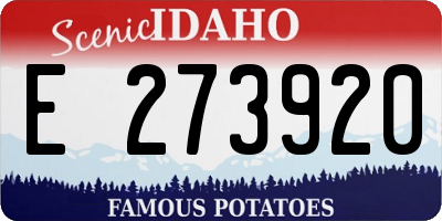 ID license plate E273920