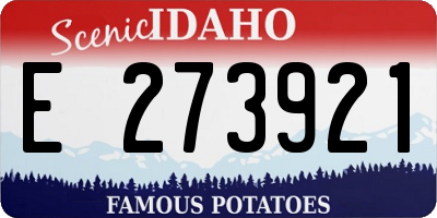 ID license plate E273921