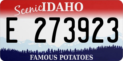 ID license plate E273923