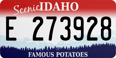 ID license plate E273928