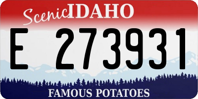 ID license plate E273931