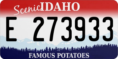 ID license plate E273933