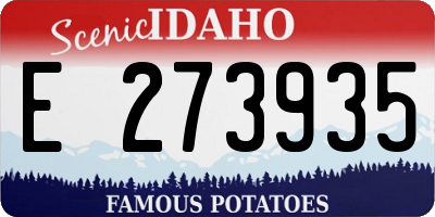 ID license plate E273935