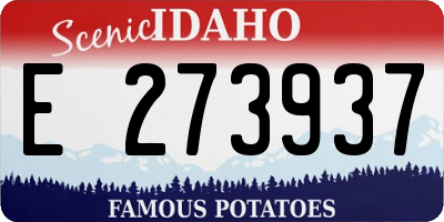 ID license plate E273937