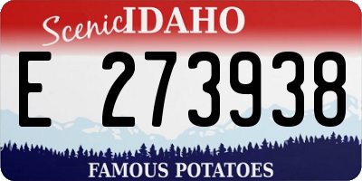 ID license plate E273938