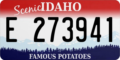 ID license plate E273941