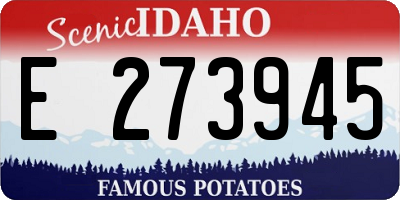 ID license plate E273945