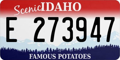 ID license plate E273947