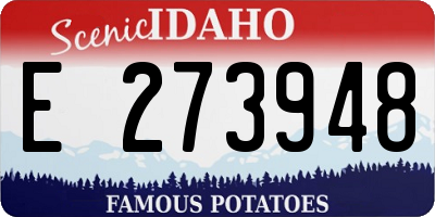 ID license plate E273948