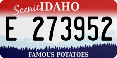 ID license plate E273952