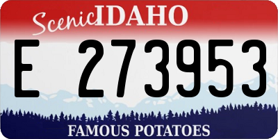 ID license plate E273953