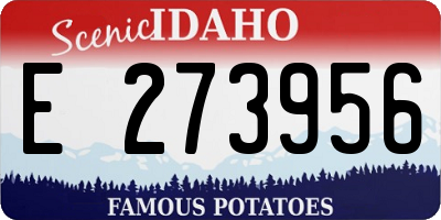 ID license plate E273956