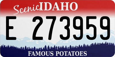 ID license plate E273959