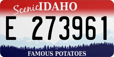 ID license plate E273961