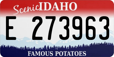ID license plate E273963