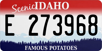 ID license plate E273968