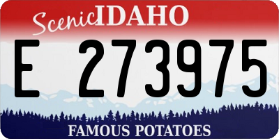 ID license plate E273975