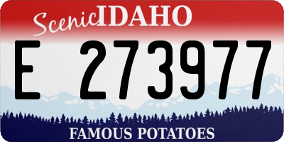 ID license plate E273977