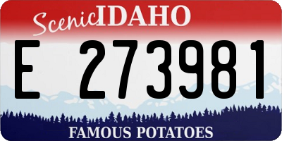 ID license plate E273981