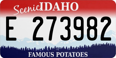 ID license plate E273982