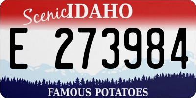 ID license plate E273984